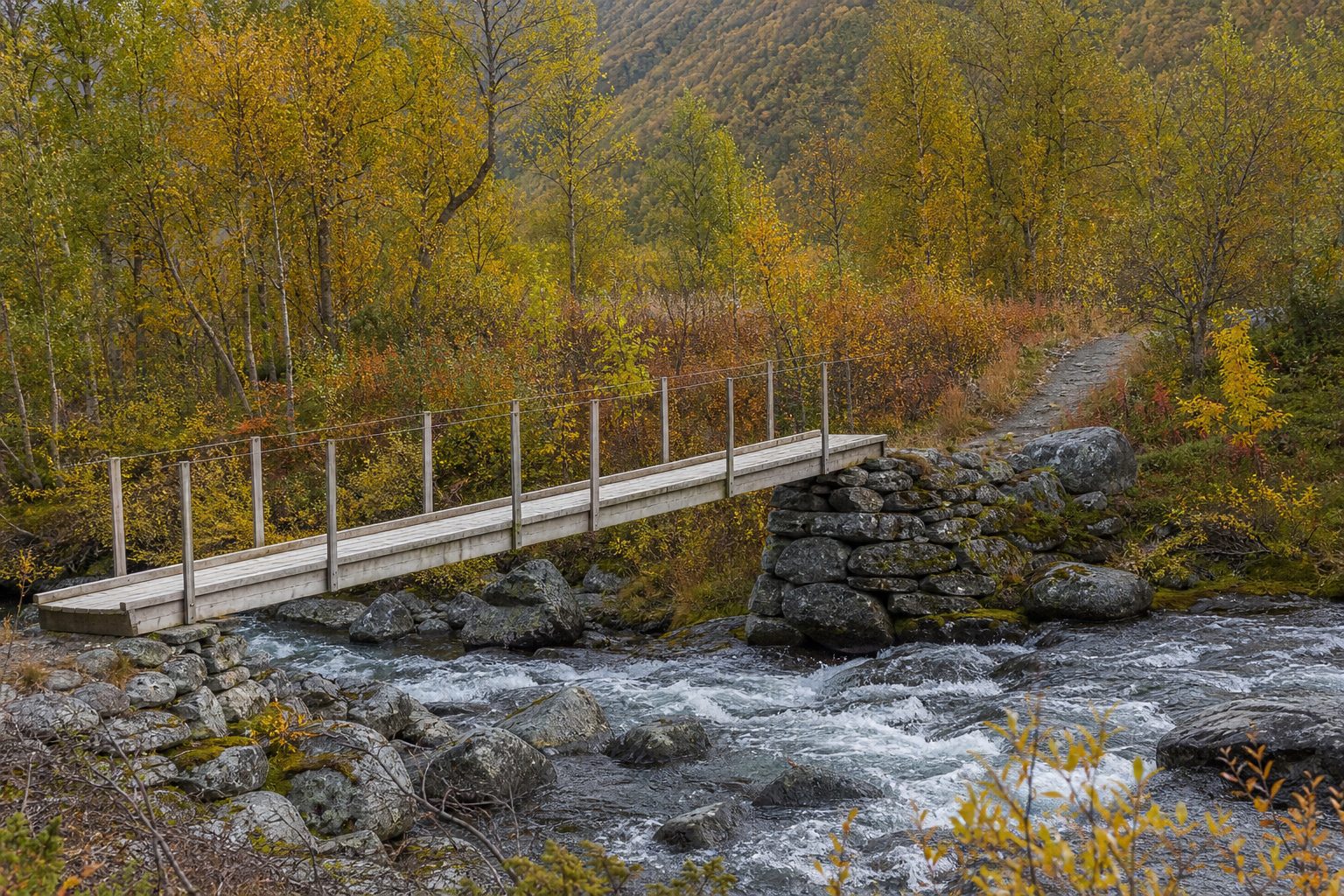 En smal gangbro av tre over en steinete elv i norsk fjellskog, med landkar av stein og høstfarger langs bredden.