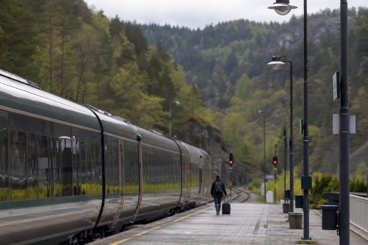 Et persontog står ved en stasjon på Sørlandsbanen, med skogkledde åser i bakgrunnen.